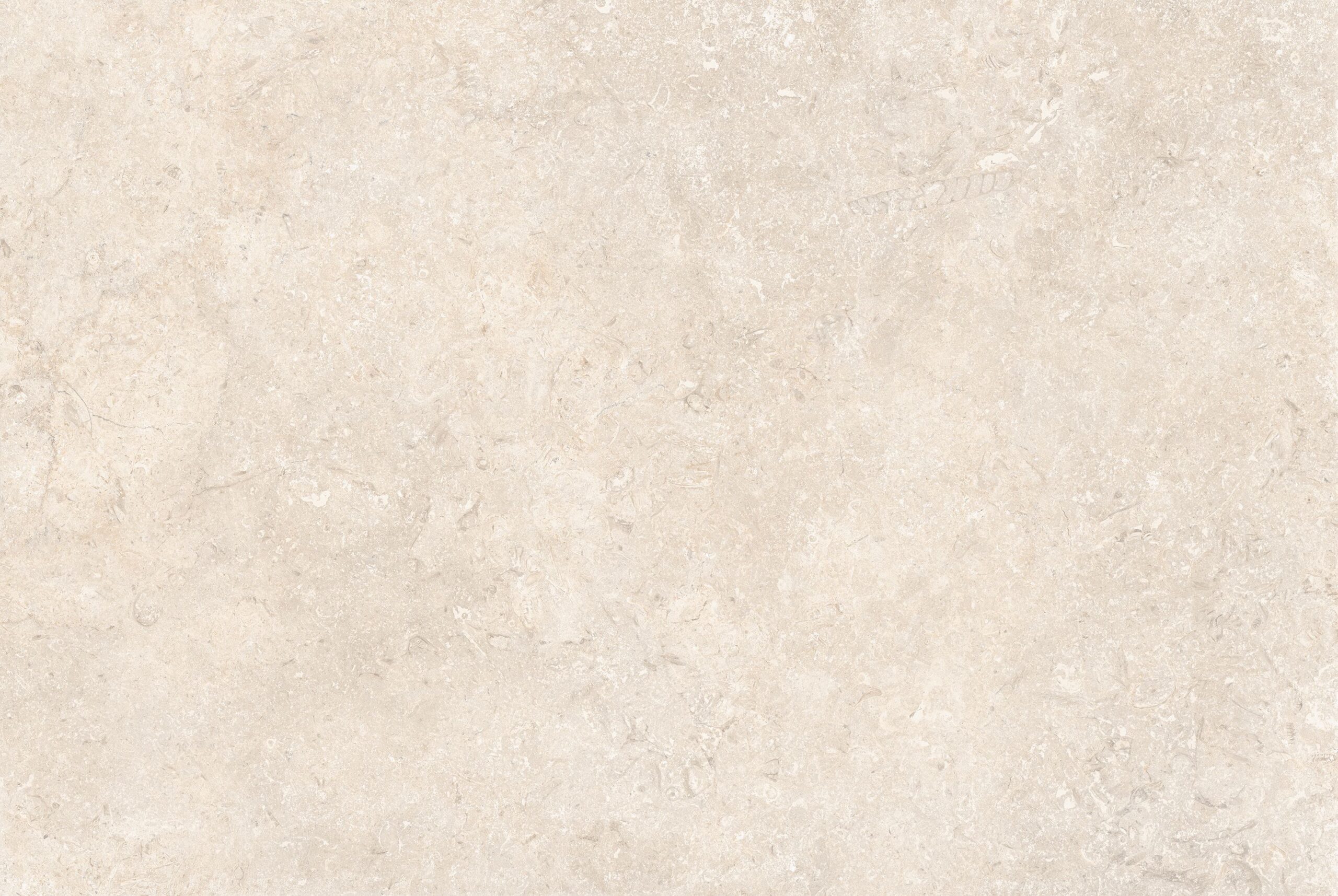 Mediterranean Porcelain - Image 2